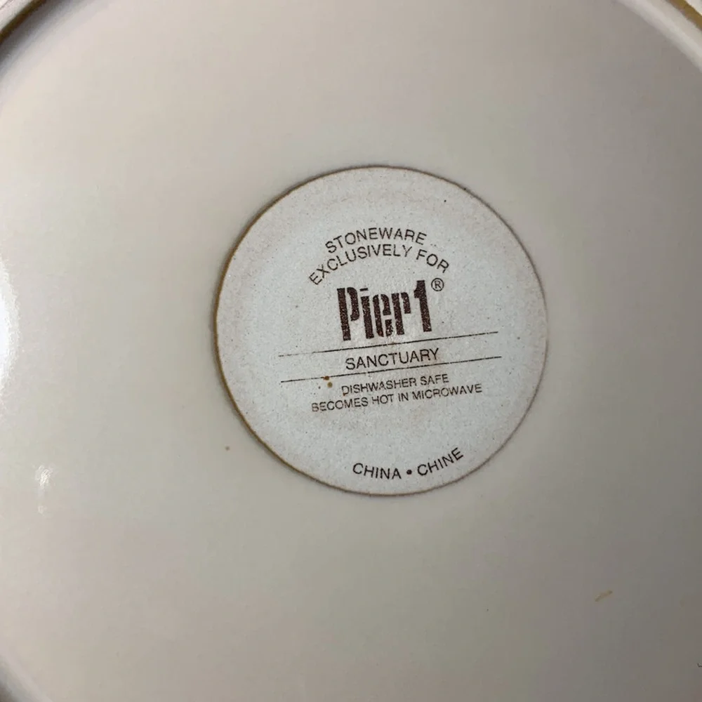 Pier 1 Imports Stoneware Dinner Plate Sanctuary Pattern 11 1/2” Star Burst One